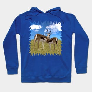 Grazing Gazelles Hoodie